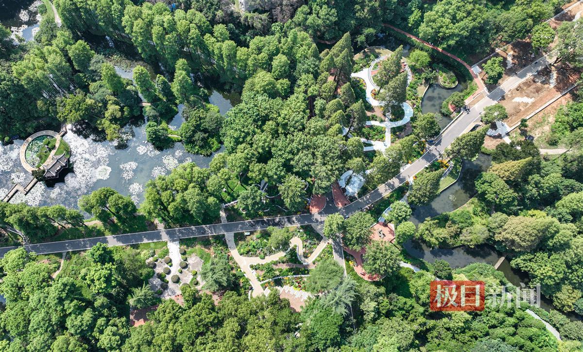 星际娱乐游戏平台